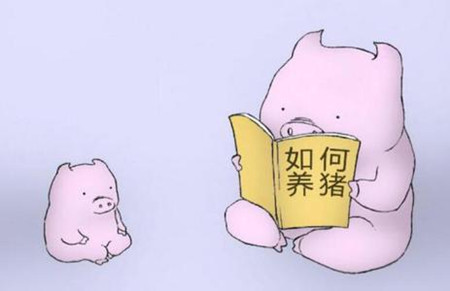 生豬禁養(yǎng)的背后，是一個(gè)個(gè)大型豬場(chǎng)的崛起！