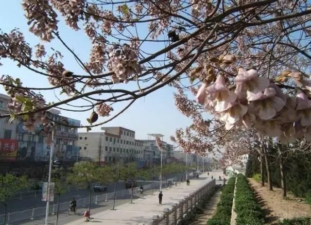 河南這11個(gè)縣(市)被國(guó)家看上 將獲重點(diǎn)扶持