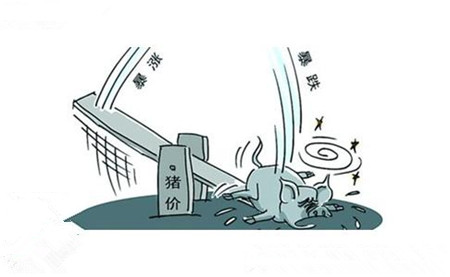 屠宰企業(yè)日屠宰量仍在較低水平 壓價意愿強(qiáng)