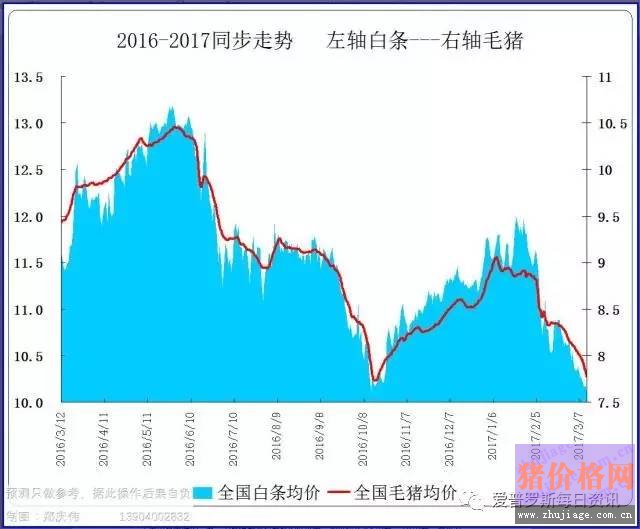 一邊白條掉價(jià)，一邊毛豬價(jià)格反彈，這是要上演鴻門宴么？