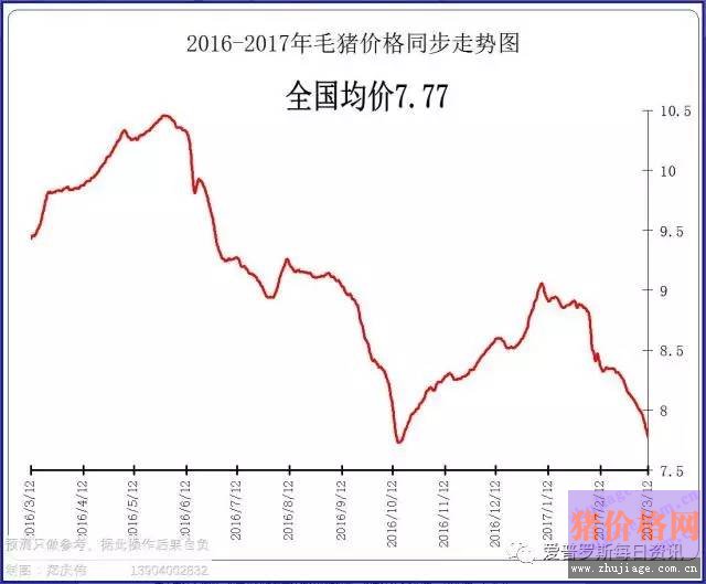 一邊白條掉價(jià)，一邊毛豬價(jià)格反彈，這是要上演鴻門宴么？