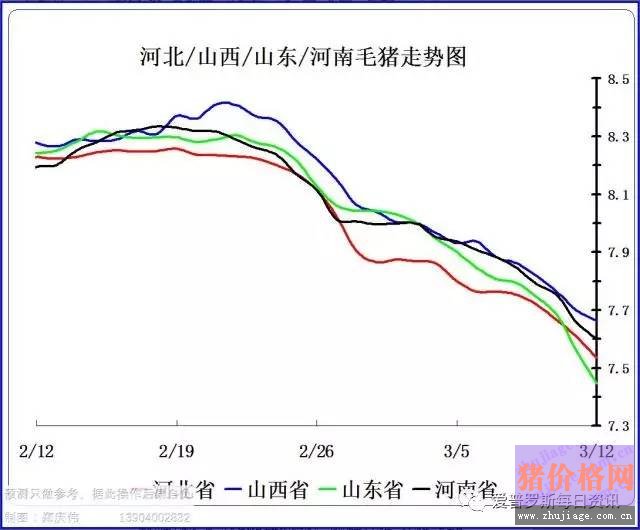 一邊白條掉價(jià)，一邊毛豬價(jià)格反彈，這是要上演鴻門宴么？