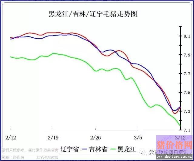 一邊白條掉價(jià)，一邊毛豬價(jià)格反彈，這是要上演鴻門宴么？