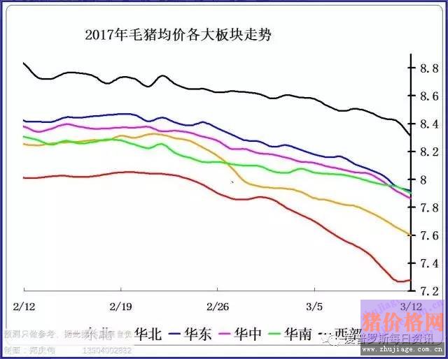 一邊白條掉價(jià)，一邊毛豬價(jià)格反彈，這是要上演鴻門宴么？