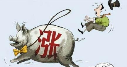 清明前豬價能漲到多少？主要看這些……
