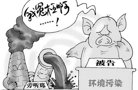 壞消息一個(gè)又一個(gè)，養(yǎng)豬越來(lái)越難了！該怎么辦？