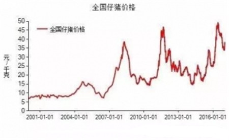 句句在理，有圖有真相！近五年生豬生產(chǎn)形勢(shì)分析