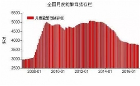 句句在理，有圖有真相！近五年生豬生產(chǎn)形勢(shì)分析