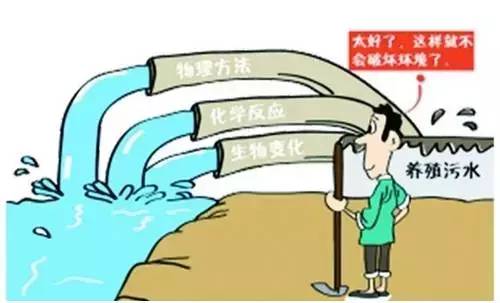 規(guī)?；B(yǎng)殖是趨勢 養(yǎng)豬場與環(huán)保之間矛盾加劇