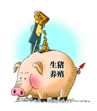 豬價下跌、成本壓縮，多面夾擊下，養(yǎng)豬人未來的希望在哪兒？