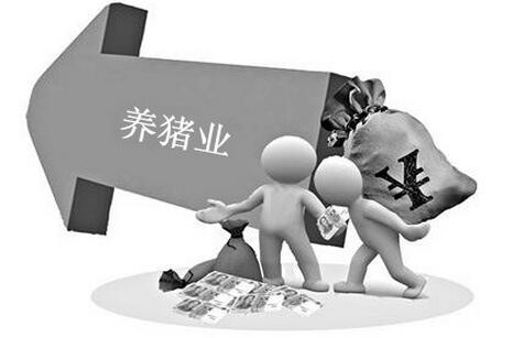 養(yǎng)豬業(yè)要發(fā)展 必須要解決這些問(wèn)題......