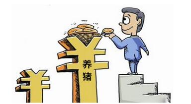 到底養(yǎng)豬能有多少利潤(rùn)空間？你計(jì)算過(guò)嗎……