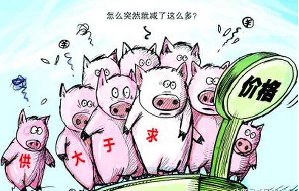 豬堅(jiān)強(qiáng)不再，豬肉價(jià)格持續(xù)下滑，不少豬場(chǎng)已現(xiàn)投資虧損