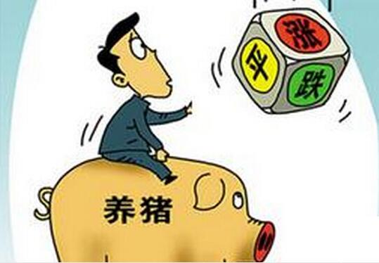 豬價(jià)上漲，想誘惑我？沒(méi)門(mén)！