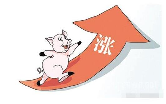 夏季豬價：此刻有多瘋狂，后面就會有多大的坑！