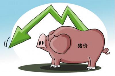 為何業(yè)內(nèi)認為下半年豬價難有起色？