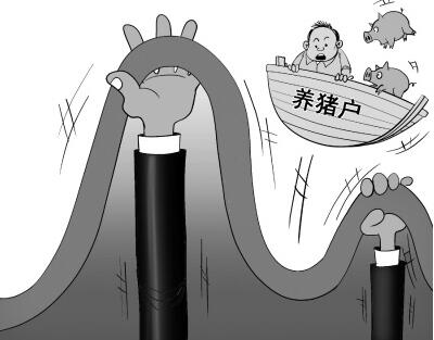 2017年豬價(jià)走勢(shì)極其反常，到底是什么原因打壓了豬市？