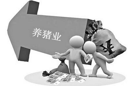 養(yǎng)豬人必看：養(yǎng)豬業(yè)正在悄然無(wú)息地發(fā)生著什么變化？