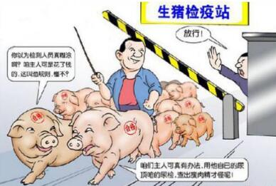 狼來了！低價洋豬肉已侵占國內(nèi)市場，養(yǎng)豬人將如何面對？