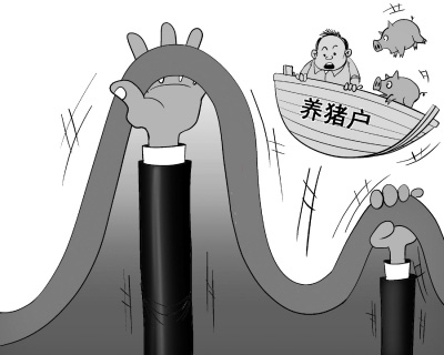 今年豬價將和5年前一樣下半年反彈？事實將令人震驚